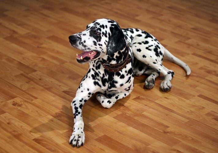 Flooring inspiration
