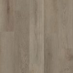 Castile Oak - Image 3