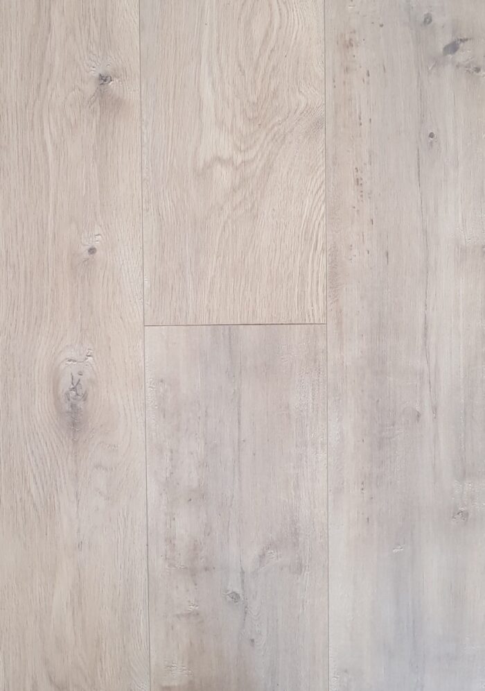 Coastal Ivory
