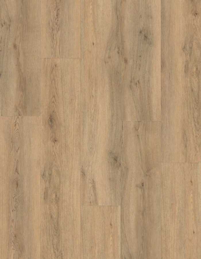 Lugano Oak