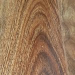 NSW Spotted Gum Matt XL - Image 2