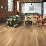 Warm Spotted Gum