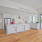 Blackbutt