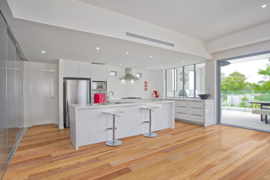 Blackbutt