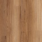 Spotted Gum - Image 2