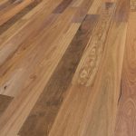 Spotted Gum - Image 5