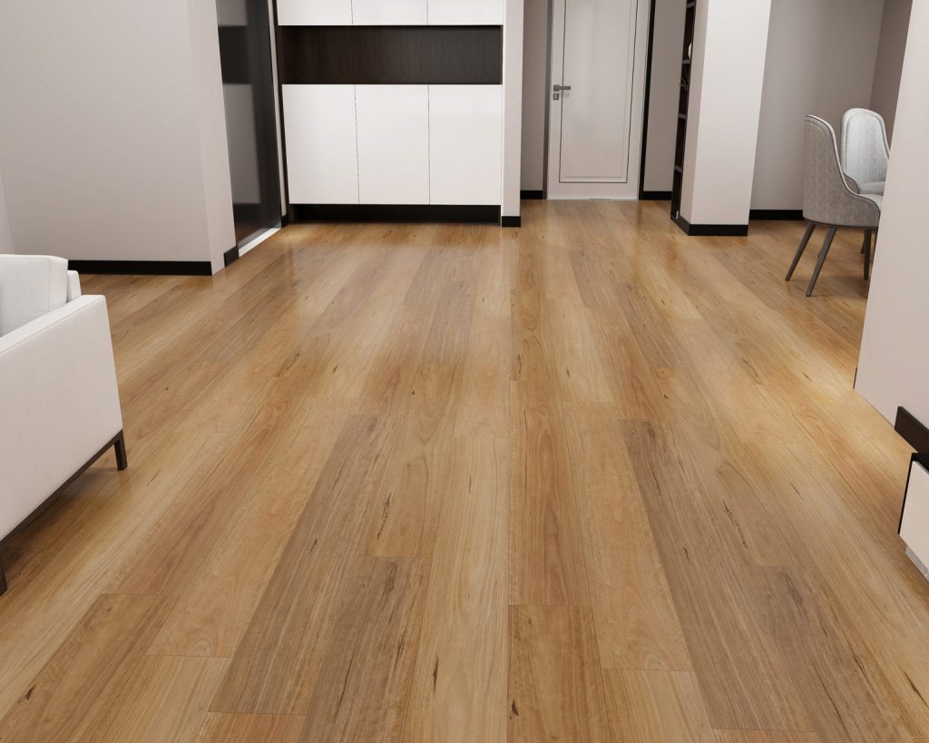 Spotted Gum