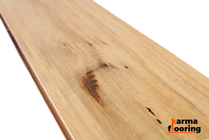 Stringybark Gloss