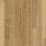 Tasmanian Oak - Image 4