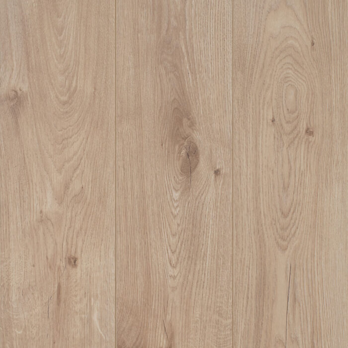 Nordic Oak XL